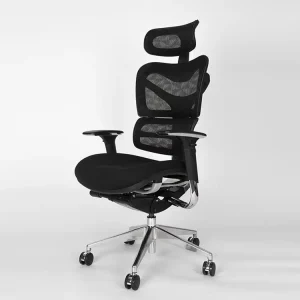 Euromof New Ergostone